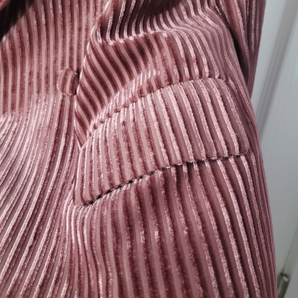Nasty Gal Collection Relaxed Velvet Striped Blazer Size 10 - Picture 10 of 16